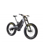 Electric Bikes